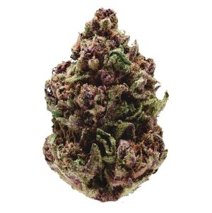 Image 1 of Pink Magic FAST Version cannabis by Growers Choice – Indoor – Sweet – Guaranteed female plants – Seed City
