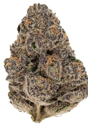 Professor Trichome – Modified Grapes