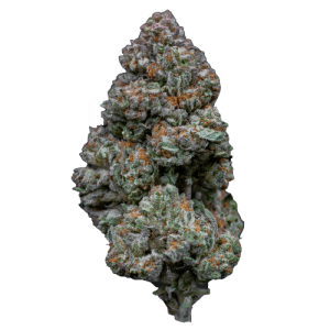 Image 1 of RS11 cannabis by Growers Choice – Suited for indoor growing – High Yielding – Indica Dominant – Seed City