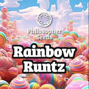 Rainbow Runtz