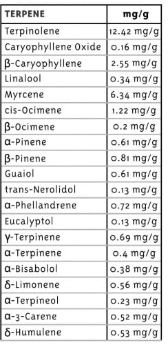 Raspberry Parfait by Humboldt Seed Company – Feminized – Outdoor cultivation – 12/12 Photoperiod – image 2 – Seed City