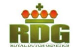 Royal Dutch Genetics Seeds