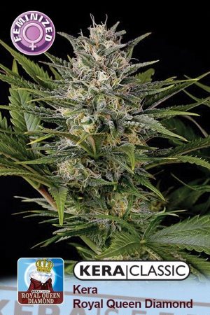 Kera Classic – Royal Queen Diamond