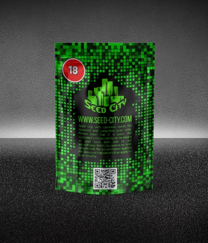 Image 3 of Gorilla #4 Auto cannabis by Seed City Seeds – Outdoor cultivation – Couch Lock – Musky – Seed City