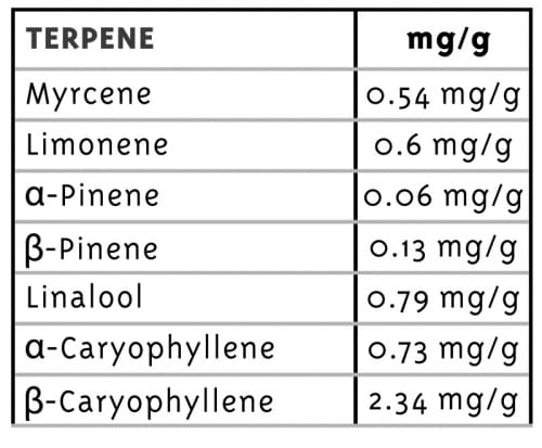 Squirt from Humboldt Seed Company