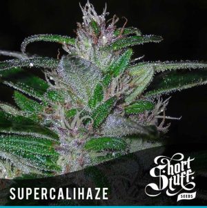 Super Cali-Haze