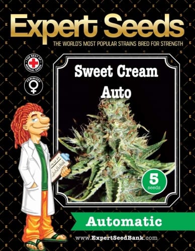 showing Auto-Flowering – Mostly Indica – Greenhouse – image 1 – Seed City
