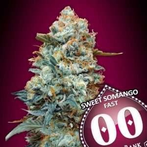 Sweet Somango Fast