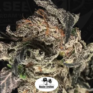 The Black Apple Hitchcock