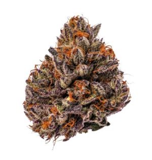 Tropicana Cherry TRIPLOID by Growers Choice – 50% Indica/50% Sativa – Focused – Super Strength – image 1 – Seed City