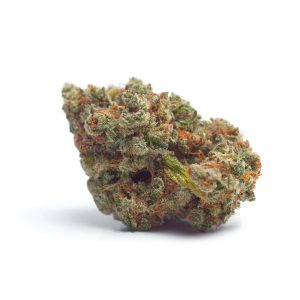 Image 1 of Tropicana Wedding Cake Auto cannabis by Growers Choice – Feminized – Cake – Super Strength – Seed City