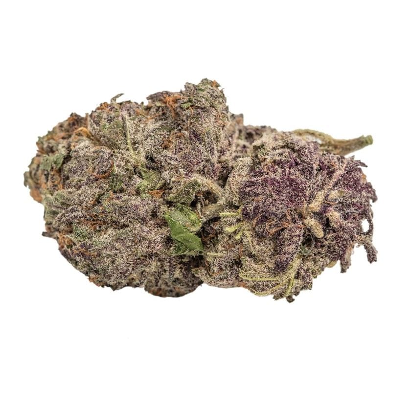 Ultra Violet GMO by Growers Choice – Super Strength – 12/12 Photoperiod – Female seeds – image 1 – Seed City
