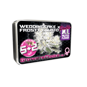 Wedding Cake x Frosty Gelato Double XL Auto cannabis – image 1 – Seed City