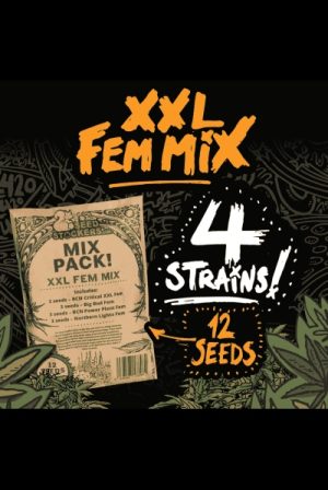 XXL Fem Mix from Seed Stockers