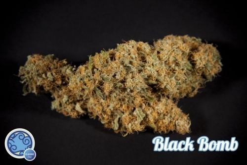 Black Bomb from Philosopher Seeds