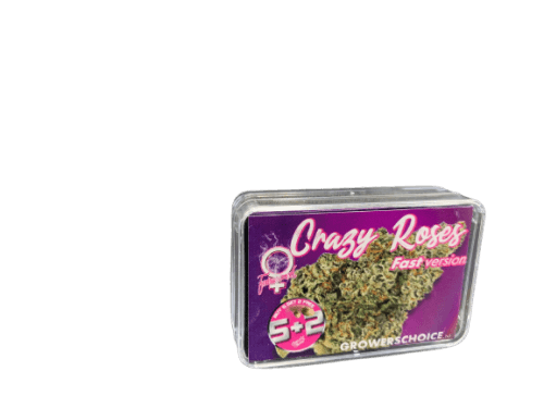 Crazy Roses Fast Version by Growers Choice – 12/12 Photoperiod – Feminized – Skunky – image 2 – Seed City