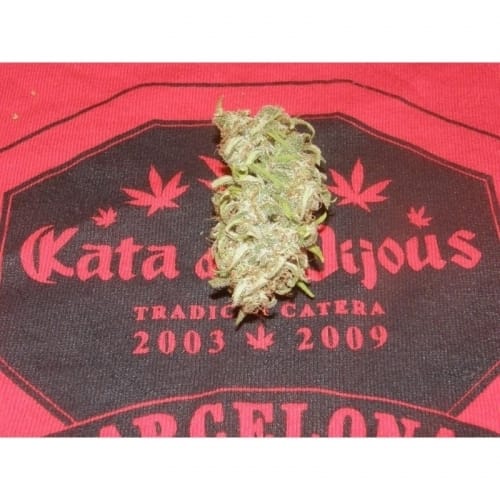 Crystal METH from Dr Underground