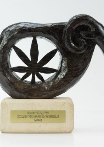 Cheese Autoflowering by Dinafem Seeds – Indoor – Guaranteed female plants – Cheese – image 6 – Seed City