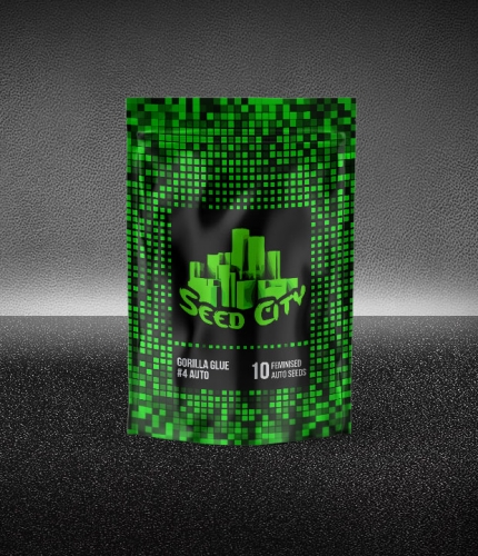 Gorilla #4 Auto cannabis seeds – Guaranteed female plants – Mostly Indica – Outdoor cultivation – image 2 from Seed City