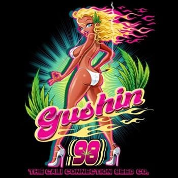 Gushin' 98 by Cali Connection Seeds – Good for outdoor grow – Chocolate – 50% Indica/50% Sativa – image 2 – Seed City