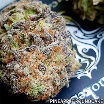 Pink Pineapple Kush cannabis – image 2 – Seed City