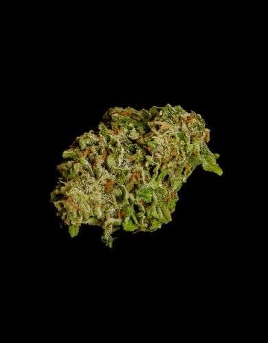 Hyperion F1 Auto by Royal Queen Seeds – Spicy – Indoor – Body Stone – image 2 – Seed City