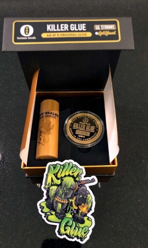 showing Indoor-friendly – Floral – Guaranteed female plants – image 5 – Seed City