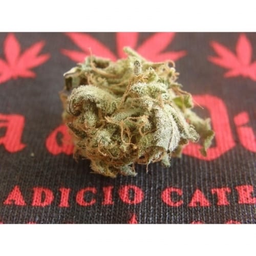 showing Indoor-friendly – Female seeds – Skunky – image 5 – Seed City