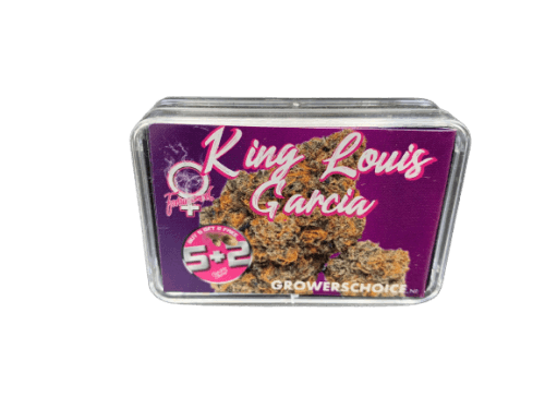 King Louis Garcia cannabis seeds – Indoor – Body Stone – Female seeds – image 2 from Seed City