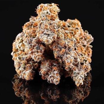 La Bomba from Compound Genetics