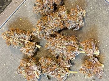 Military Chocolate from Oni Seed Co