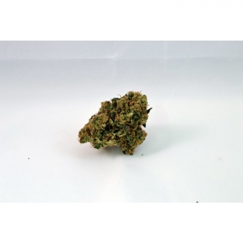 Nebula 1:1 CBD cannabis seeds – Sativa Dominant – Relaxing – Short (up to 80cm) – image 3 from Seed City