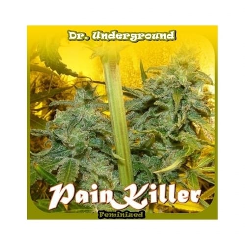 Painkiller from Dr Underground