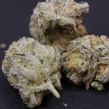 Solero from Original Dampkring Genetics