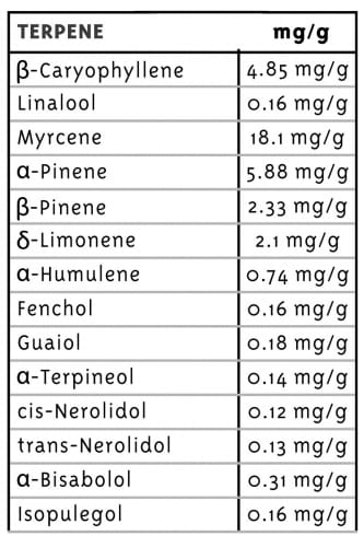 Vanilla Frosting cannabis seeds – Vanilla – Middle of October – Female seeds – image 2 from Seed City