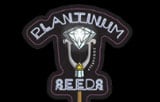 Platinum Seeds Logo
