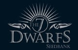 The 7 Dwarfs Seeds Logo