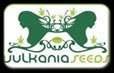 Vulkania Seeds Logo