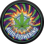 Autoflowering