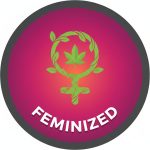 Feminised