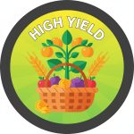 High Yield
