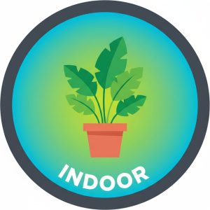 Indoor