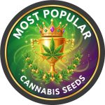 Most Popular Cannabis Seeds